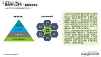 2019科創(chuàng)獨(dú)角獸研究報(bào)告 信息技術(shù)咨詢服務(wù)的崛起與前景